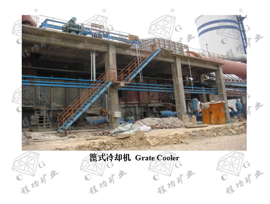 ��ʽ��ȴ�� Grate Cooler